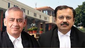 Delhi HC Holds YouTuber Gulshan Pahuja Guilty Of Criminal Contempt Of Court For Making Scandalous Comments About The Judiciary